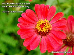 marcus_tullius_cicero_quotes Quotes 4